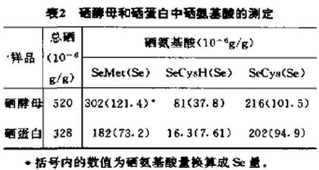 表2 硒酵母和硒蛋白中硒氨基酸的测定