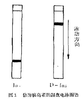 图1 修饰胰岛素的园盘电泳图谱